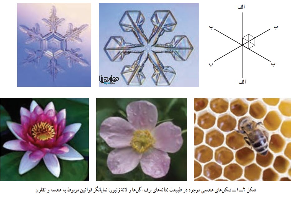 شکلهای هندسی موجود در طبیعت (دانه‌های برف، گلها و لانۀ زنبور) نمایانگر قوانین مربوط به هندسه و تقارن