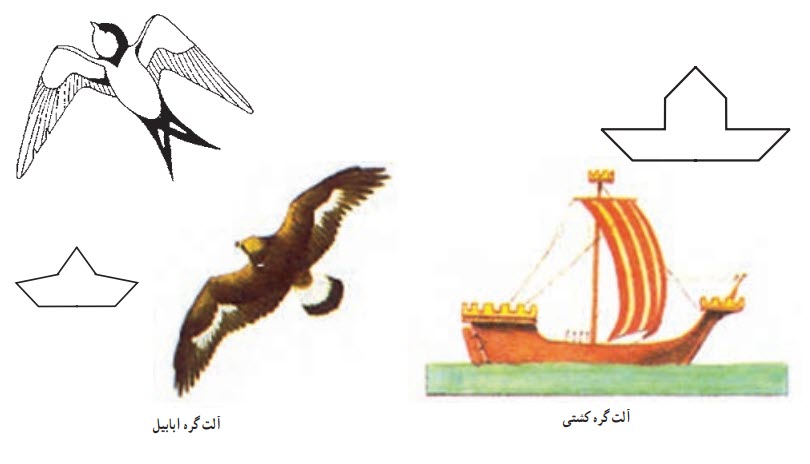 پیدایش نام آلتهای گره